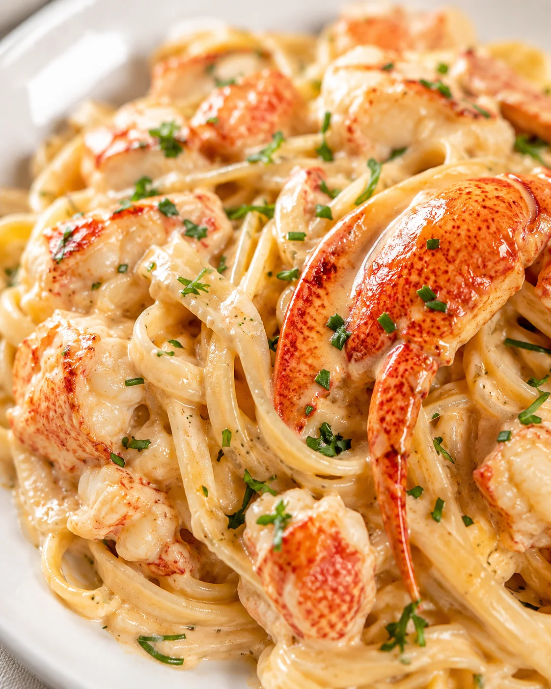 close-up of creamy lobster pasta with lobster tail pieces, garnished with parsley