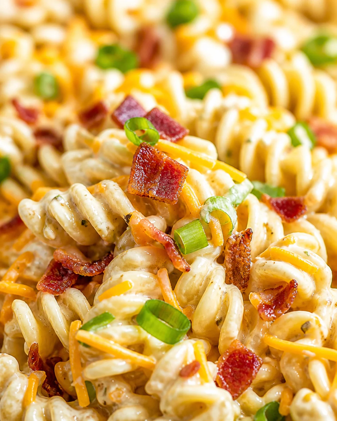 Close-up of creamy bacon macaroni and cheese with shells and green onions.