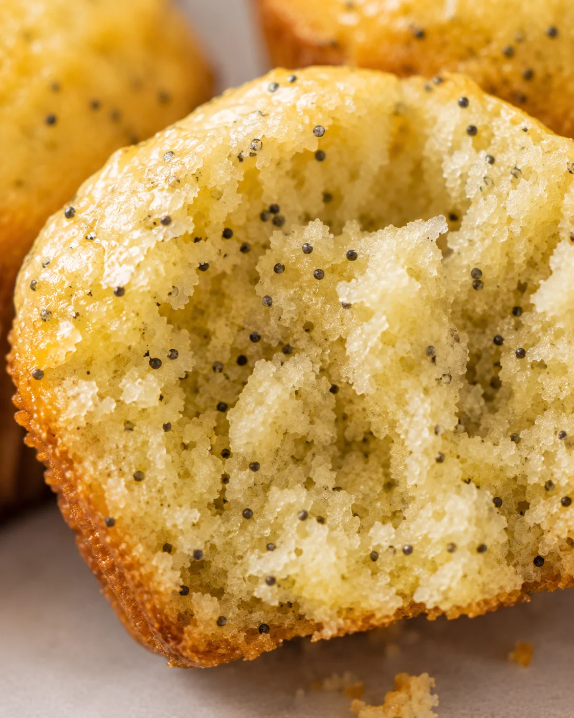 Close-up of moist lemon poppy seed muffin with bright flavor and golden crumb