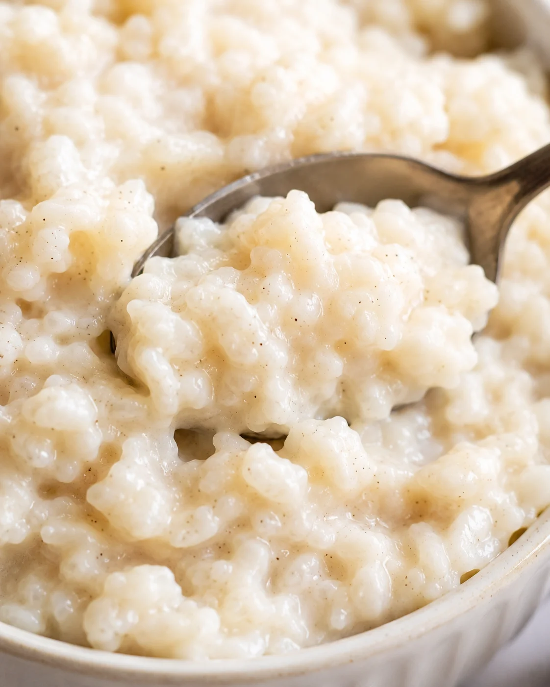 Creamy Slow Cooker Rice Pudding Close-up of a spoonful of creamy rice pudding with tender rice grains.