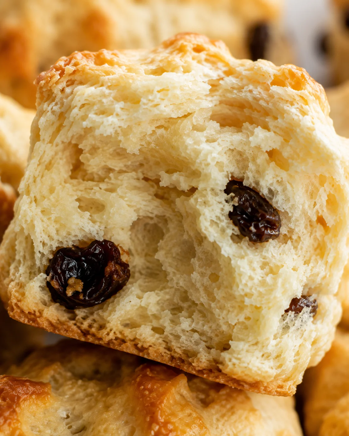Macro view of buttermilk scone crumb and currants showing flaky layers
