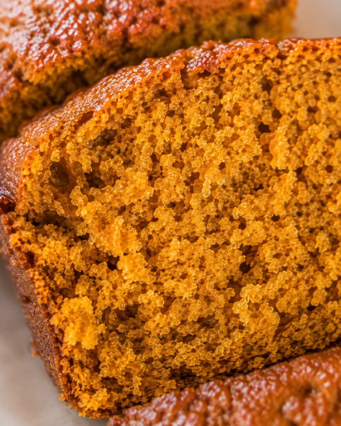 Macro detail of the moist crumb of vegan pumpkin applesauce bread
